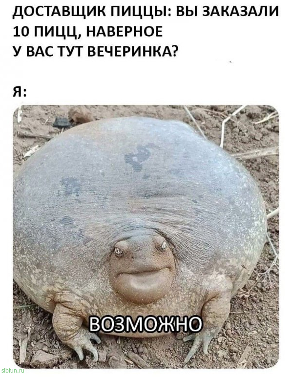 Нестандартный юмор :)