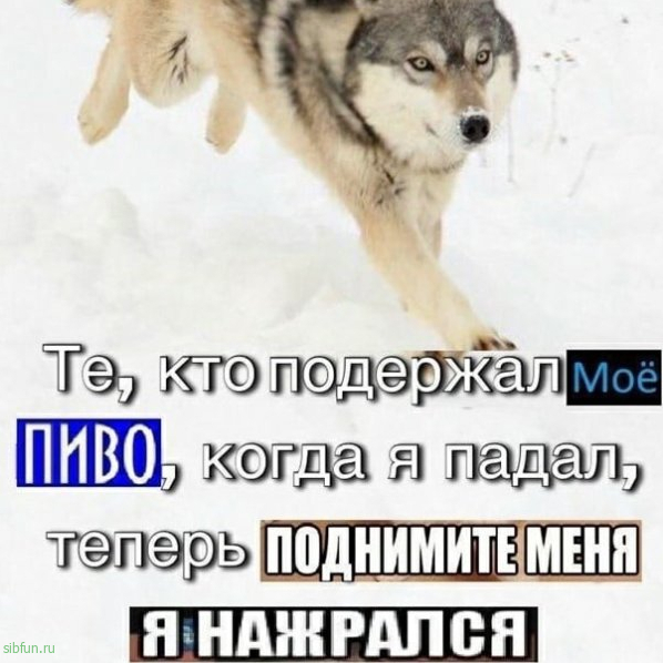 Нестандартный юмор :)