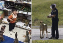 30 нелепых фото, которые вызывают много вопросов и кучу догадок # 09.07.2021