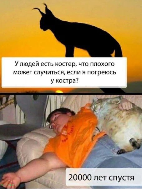 Нестандартный юмор :)