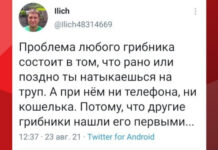 Вот и первые грибочки пошли… Псилоцибиновый юмор о начале сезона # 27.08.2021