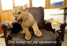 Так себе картинки # 31.08.2021