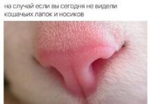 Так себе картинки # 23.08.2021