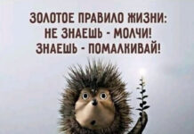 Баянисто-небаянистый юмор # 05.08.2021