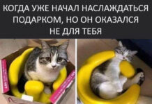 Нестандартный юмор :) # 11.08.2021