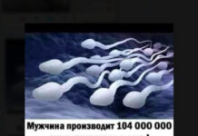 Так себе картинки # 11.08.2021