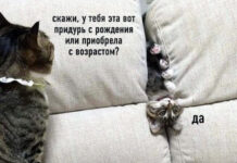 Так себе картинки # 01.08.2021