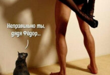 Так себе картинки # 21.08.2021