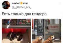 Юмор и прикольные картинки # 17.08.2021