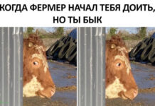 Нестандартный юмор :) # 20.08.2021