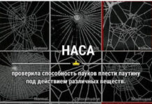 15 картинок сарказма # 23.08.2021