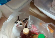 Так себе картинки # 30.08.2021