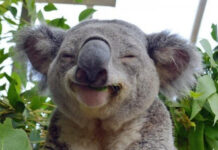 Прикольные и просто красивые картинки # 05.08.2021