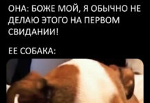 Нестандартный юмор :) # 04.08.2021