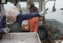 Бабуля эффектно выкинула омара за борт и случайно начала фотошоп-баттл # 24.08.2021