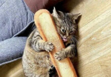 Прикольные и просто красивые картинки # 25.08.2021