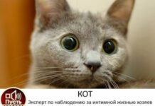 Так себе картинки # 28.08.2021