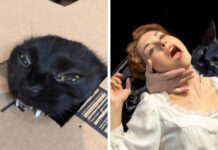 Смешные работы победителей битв фотошоперов # 21.08.2021