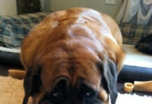 Так себе картинки # 28.08.2021