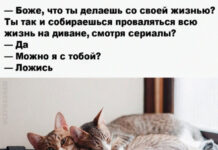 Баянисто-небаянистый юмор # 31.08.2021