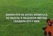 Чуток картинок # 17.09.2021