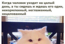 Так себе картинки # 01.09.2021