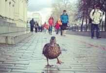 Так себе картинки # 29.09.2021