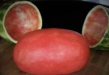 Нестандартный юмор :) # 28.09.2021