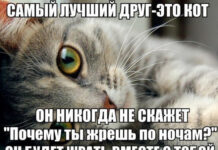 Так себе картинки # 25.09.2021