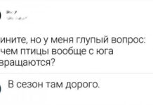 Забавные шутки, картинки и фразы из этих ваших интернетов # 22.09.2021