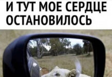 Так себе картинки # 24.09.2021