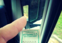 Чуток картинок # 30.09.2021