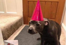 Так себе картинки # 07.09.2021