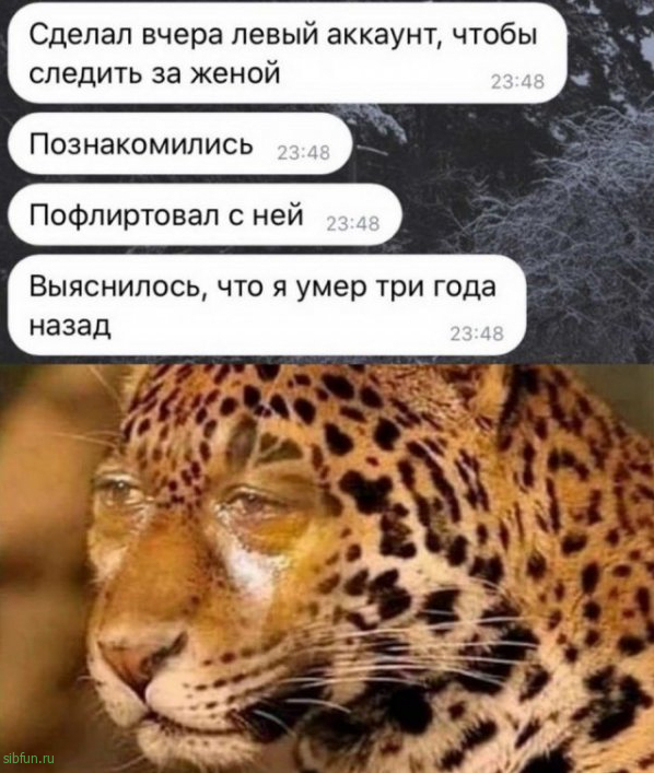 Немного слегка пошлых картинок