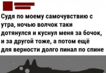 Так себе картинки # 28.09.2021