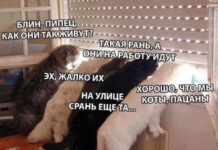 Так себе картинки # 13.10.2021