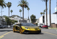 Chris Brown кастомизировал свой Lamborghini Aventador SV Roadster