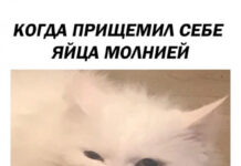 Нестандартный юмор :) # 06.10.2021