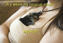 Так себе картинки # 08.10.2021