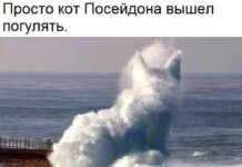 Так себе картинки # 02.10.2021