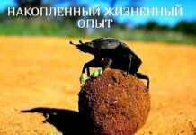 Так себе картинки # 19.10.2021