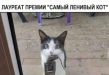 Так себе картинки # 02.11.2021