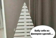 Так себе картинки # 28.11.2021