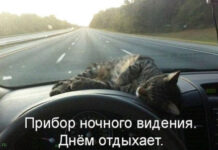 Так себе картинки # 16.11.2021