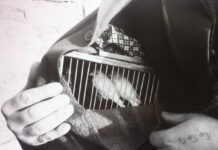 Калейдоскоп картинок # 18.11.2021