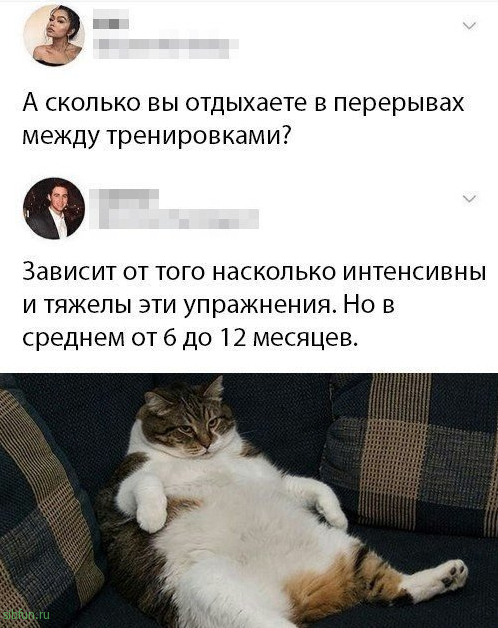 Так себе картинки