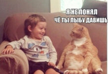 Так себе картинки # 23.11.2021