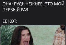 Нестандартный юмор :) # 03.11.2021