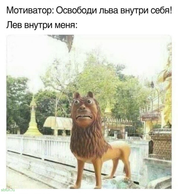 Нестандартный юмор :)