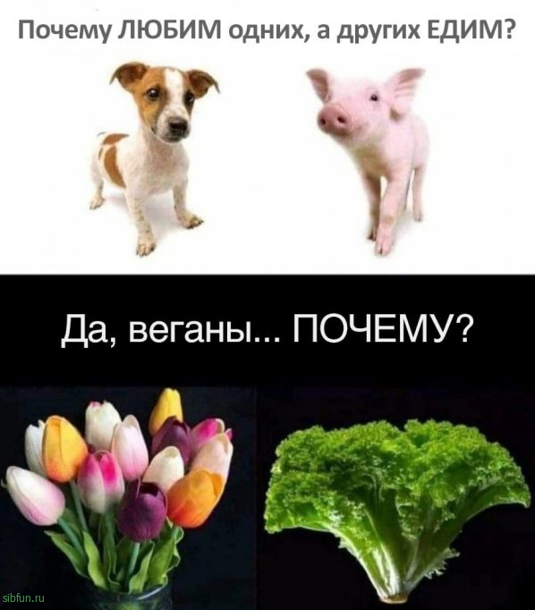 Нестандартный юмор :)